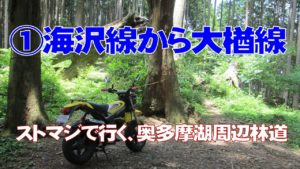 林道海沢線、大楢線【スズキ ストリートマジック】
