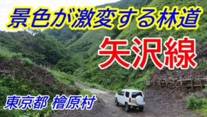 林道矢沢線【車載動画】/2017.3