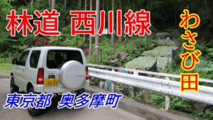 林道西川線【車載動画】/2016.9