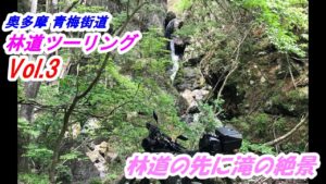 林道倉沢線、日原線【ホンダ CRF250RALLY】