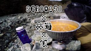 戸川林道【ヤマハ セロー250 】/2020.3
