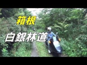 白銀林道【ヤマハ BW'S125X】