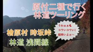 林道浅間線【ヤマハ NMAX、ホンダ PCX】