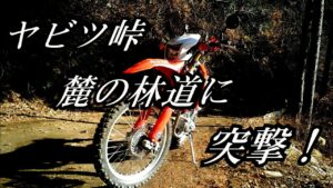 ヤビツ峠 林道【バイクツーリング】